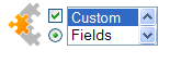 Custom Fields