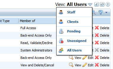 View selector